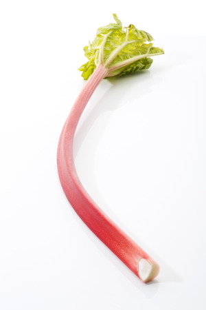 Rhubarbの写真素材