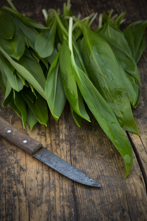 Organic ramson on wooden backgroundの写真素材