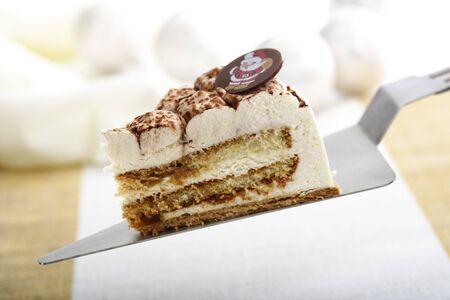 Christmas cream cake with on cake serverの写真素材