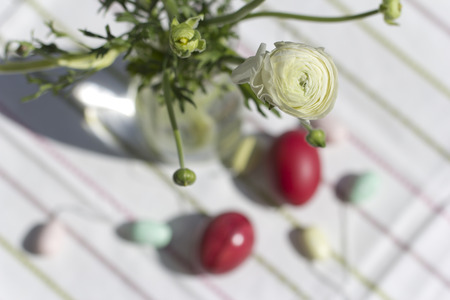 White Persian buttercup over Easter eggs