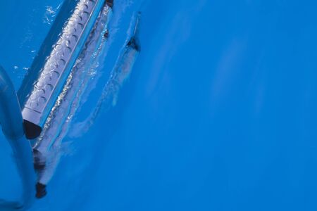 Swimming pool, pool ladder and waterの写真素材