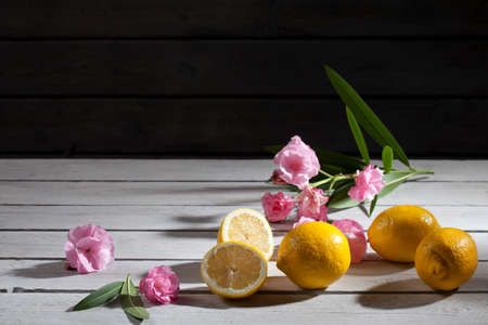 Lemons and oleander flowers on woodの写真素材