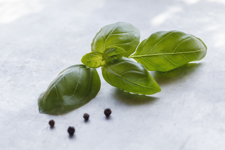 Fresh basil and peppercorns on metal backgroundの写真素材