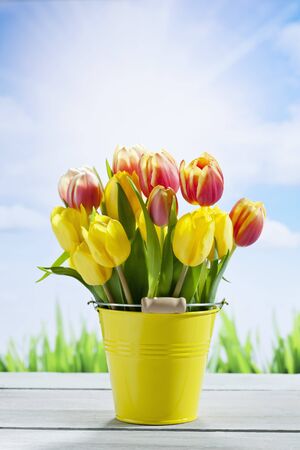 Bouquet of tulips, copy spaceの写真素材