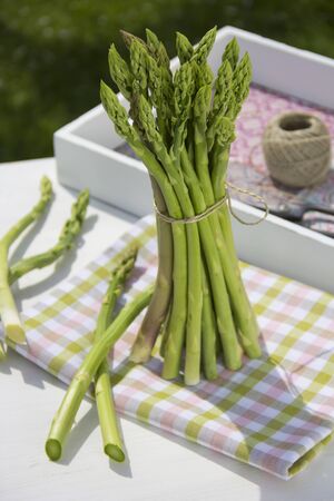 Bunch of green asparagus on checked clothの写真素材