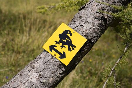 Sign on treeの写真素材