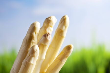 White asparagusの写真素材