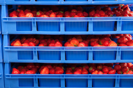 Market, strawberries in bowls, boxesの写真素材