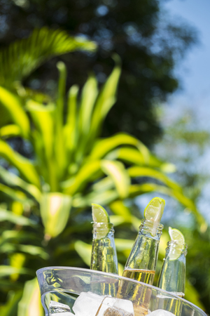 Beer bottles with lime slices in ice bucketの写真素材