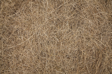 Strawの写真素材