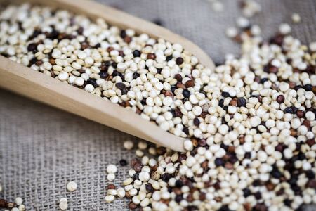 Organic quinoa grain tricolore, veganの写真素材