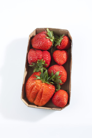 Strawberries in cardboard punnetの写真素材
