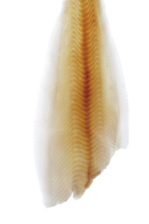 Slices of fresh halibut fish filet,close up