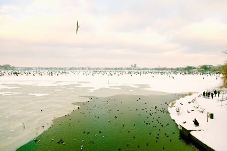 Germany, Hamburg, ice covered Aussenalster during winterの写真素材
