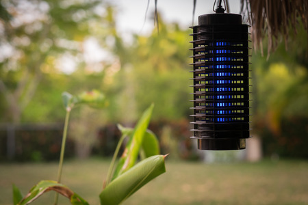 Mosquito trap, electric zapperの写真素材