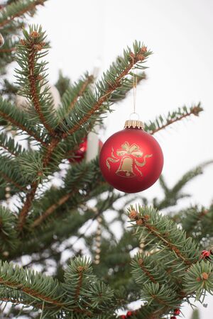 Close up of Christmas tree with ornamentsの写真素材