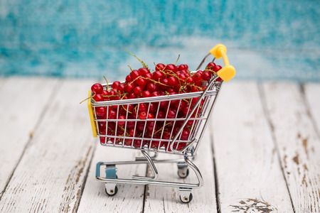 Miniature shopping cart with redcurrantsの写真素材