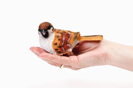 Sparrow figurine on human hand against white backgroundの写真素材