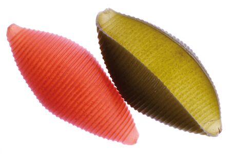 Two shell formed noodles, close-upの写真素材