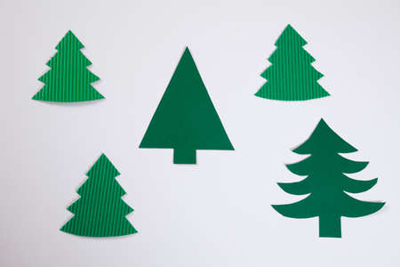 Fir tree, white backgroundの写真素材