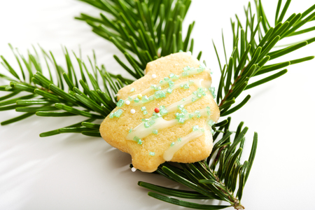 Tree shaped Christmas cookie on fir twigの写真素材