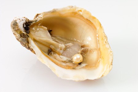 Oyster with pearl, white backgroundの写真素材