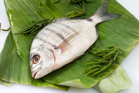 Marbled rockcod, raw, banana leaves