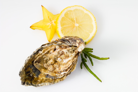 Oyster, seaweed, lemon and star fruitの写真素材