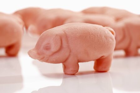 Marzipan pigsの写真素材