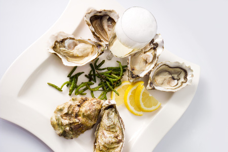 Oysters, lemon, seaweed, champagne glass on plate, white backgroundの写真素材