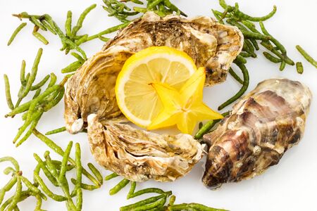 Oysters seaweed, lemon and star fruitの写真素材