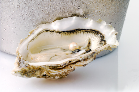 Oyster and pearlの写真素材