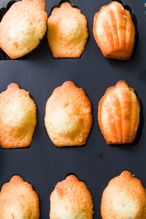 Home made Madeleine cookies in baking dishの写真素材