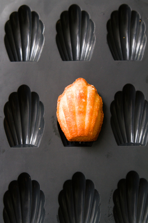 Home made Madeleine cookies in baking dishの写真素材