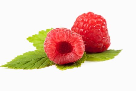 Raspberries on white backgroundの写真素材