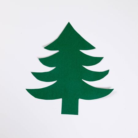 Fir tree, white backgroundの写真素材