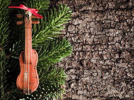 Christmas decoration on bark, evergreens, violinの写真素材