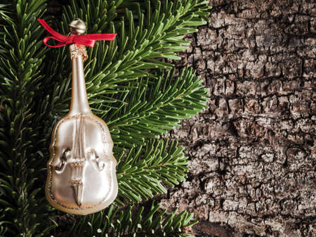 Christmas decoration on bark, evergreens, celloの写真素材