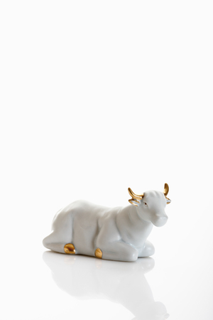 Christmas decoration, crib figurine, oxの写真素材