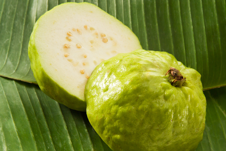 Guava on banana-leafの写真素材