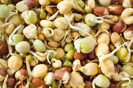 Split beans, adzuki beans, wheat and chick peasの写真素材