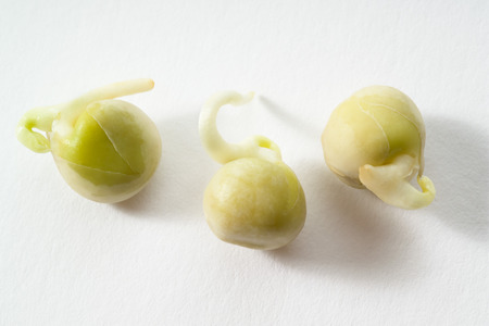 Chickpeas, white background