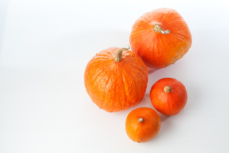 Hokkaido pumpkin, white backgroundの写真素材
