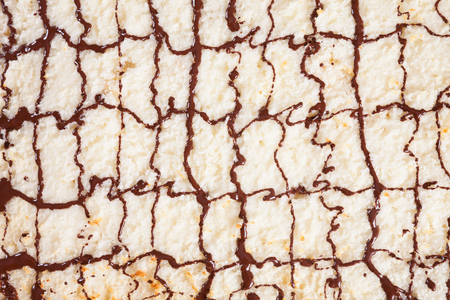 Sheet cake, coconut cake, chocolate icingの写真素材