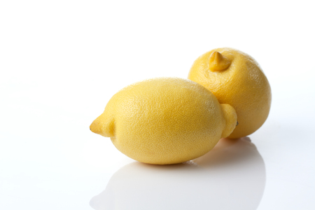 Two lemons, white backgroundの写真素材