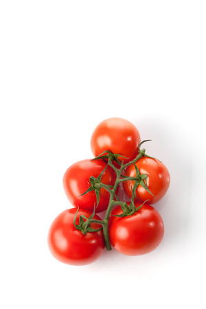 Bunch tomatoes, white backgroundの写真素材
