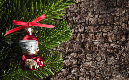 Christmas decoration on bark, evergreens, bearの写真素材