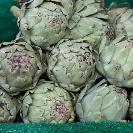 Artichokesの写真素材