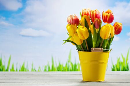 Bouquet of multicolored tulips  in yellow bucket against blue skyの写真素材