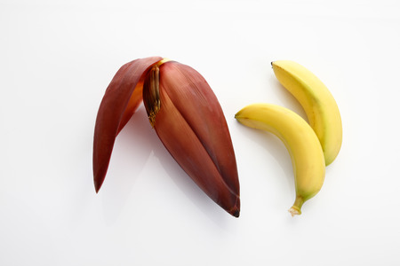 Banana, blossom, white backgroundの写真素材